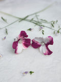 Wild Petal Fade Earrings